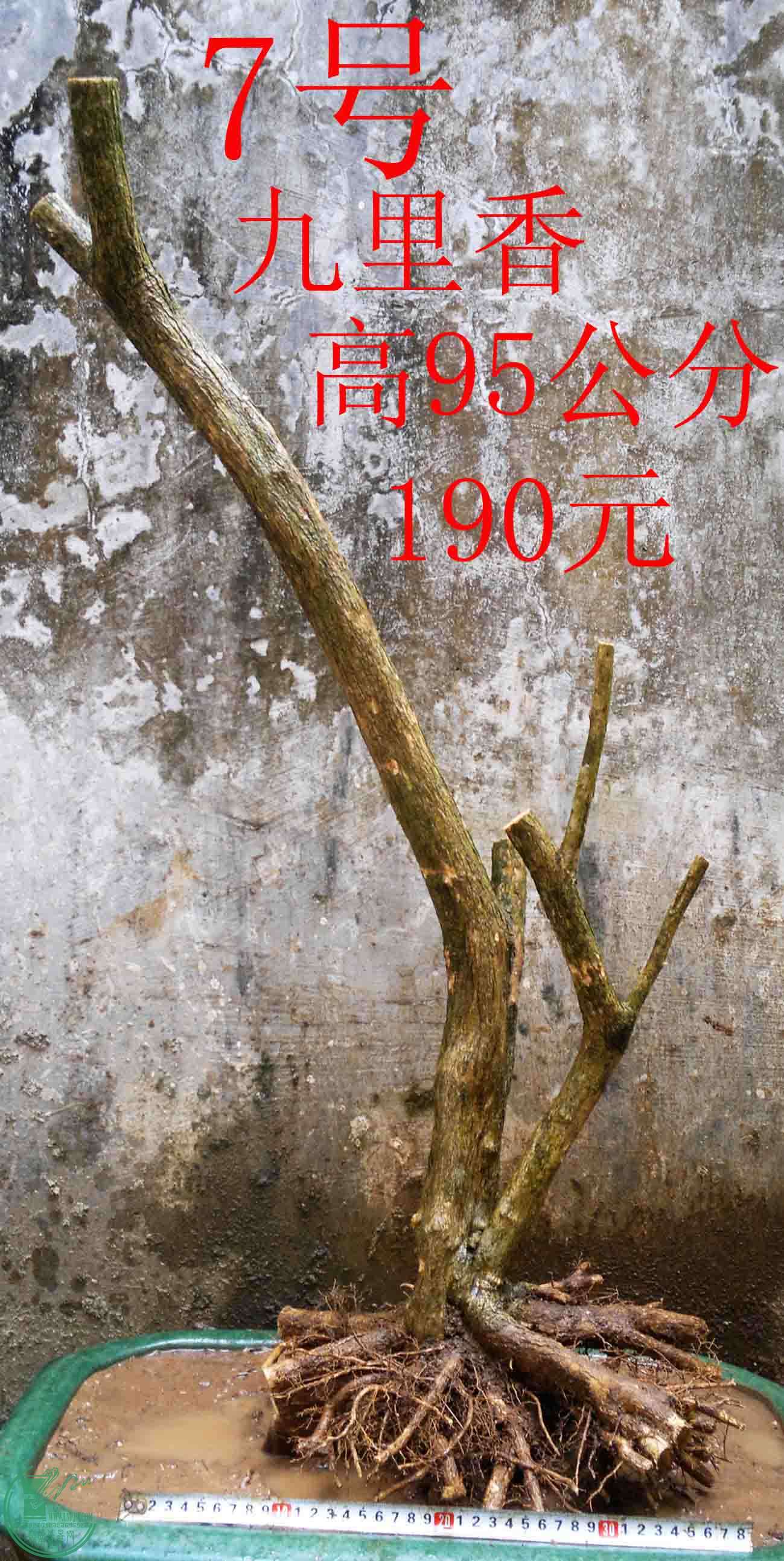 2016032814012.jpg