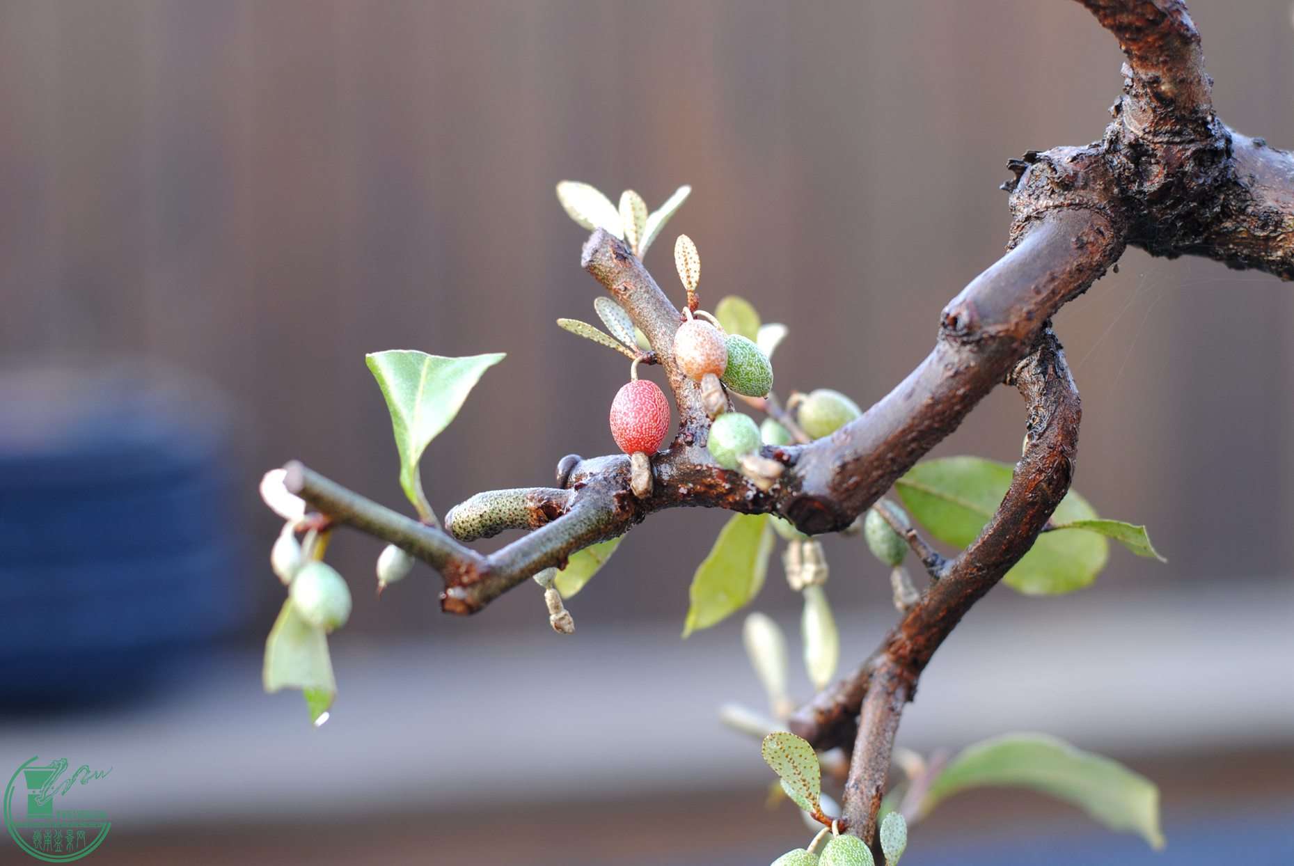 DSC_2760.JPG