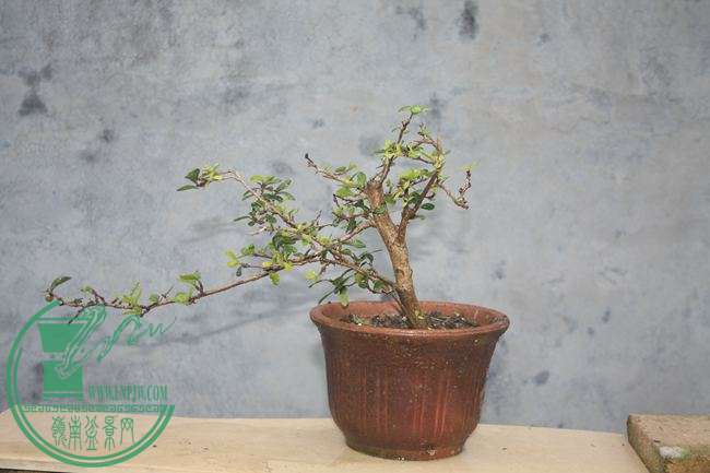 Ƭ20131026ۺ 1027.jpg