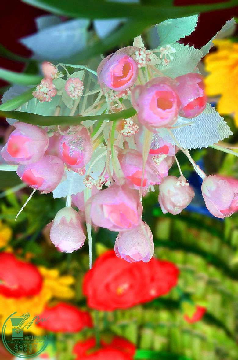 DSC_0063.jpg