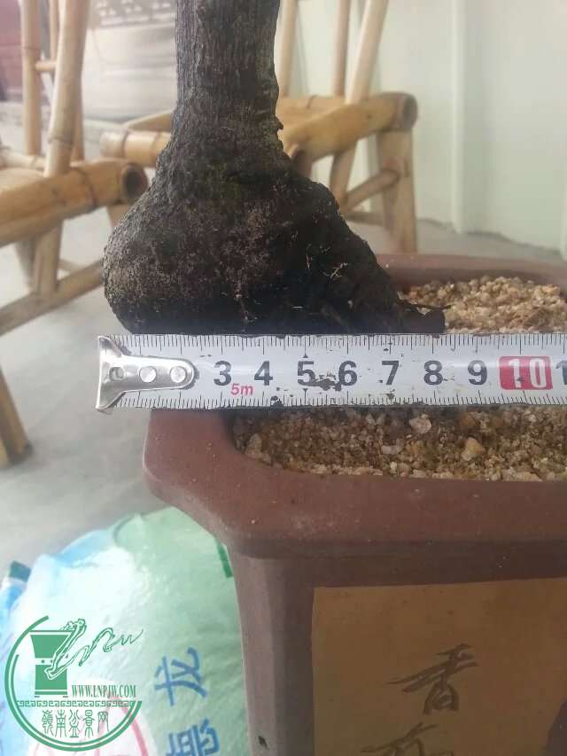 4.jpeg
