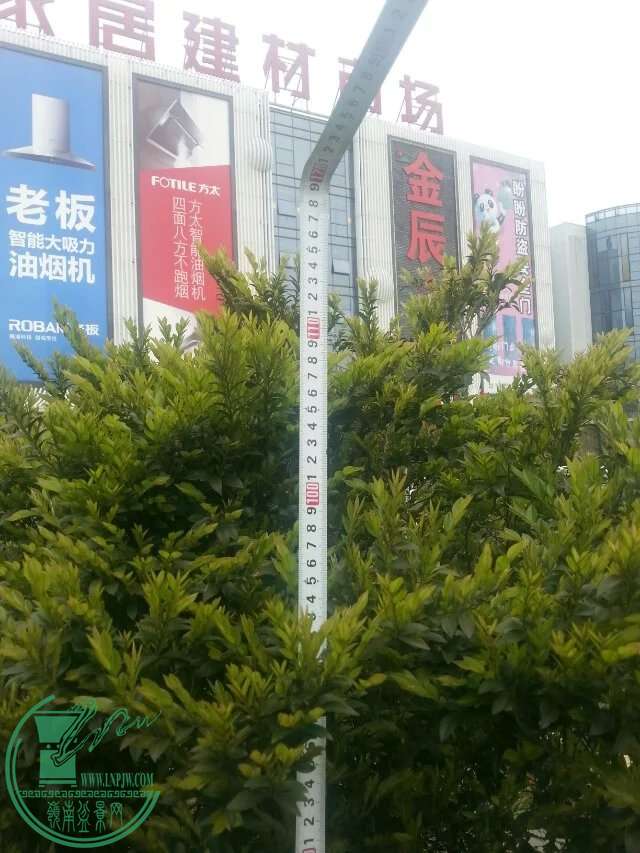 7.jpeg