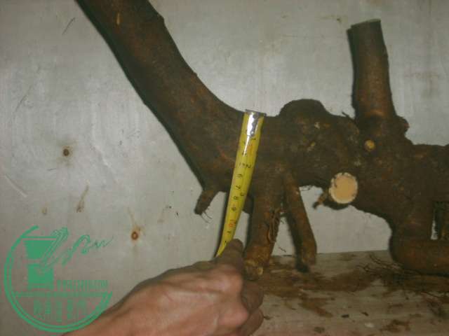 195244quhtq3tioy43uk2k_jpg_thumb.jpg