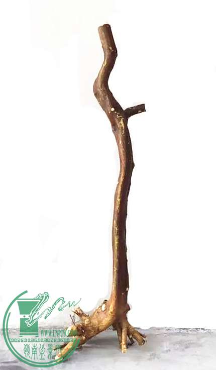 1_.jpg