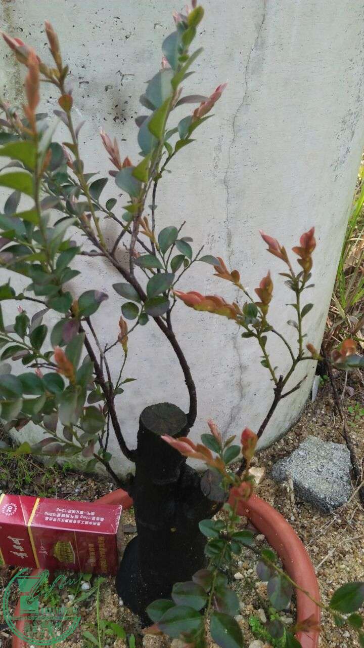 QQͼƬ20160329210019.jpg