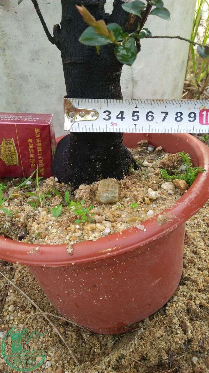 QQͼƬ20160329210023.jpg