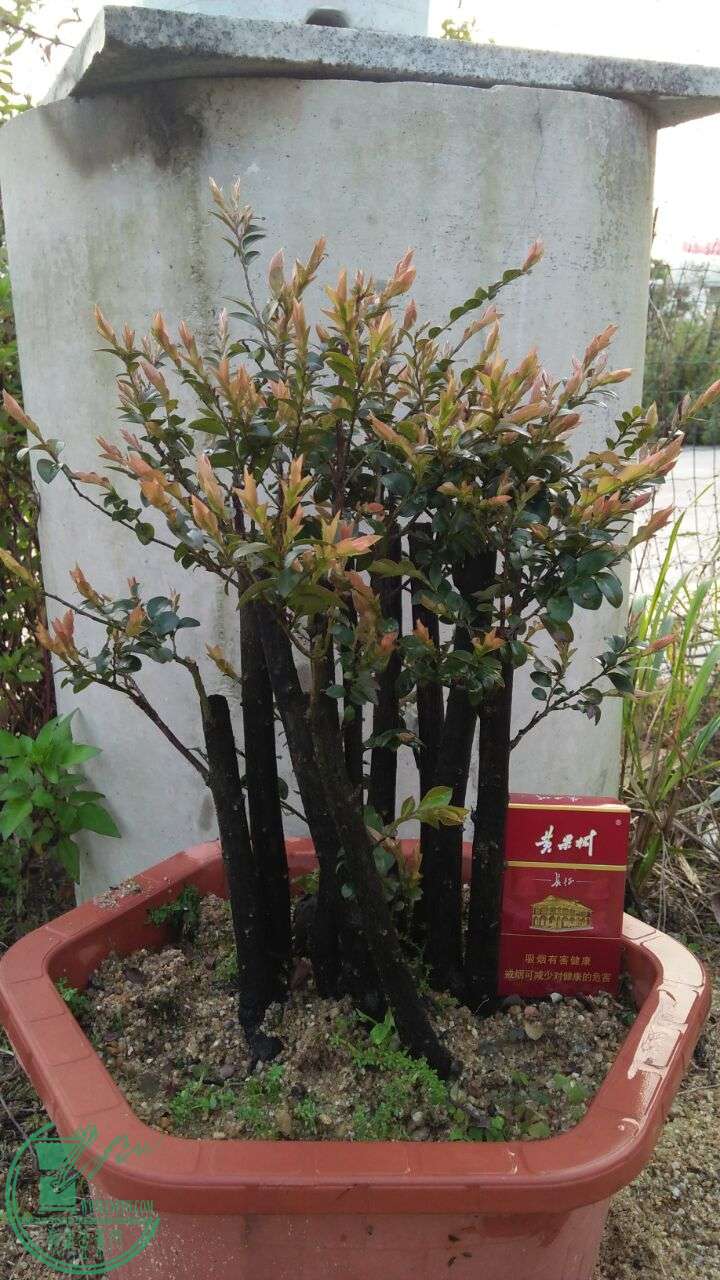 QQͼƬ20160329210009.jpg