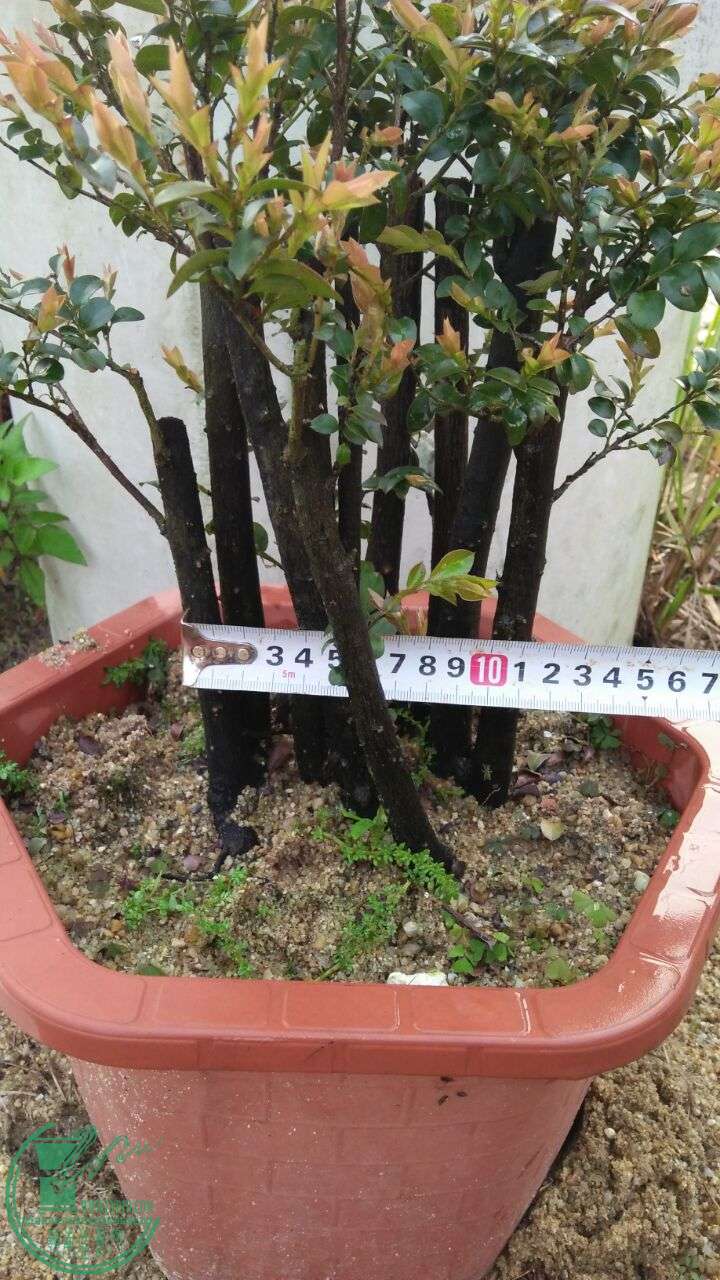 QQͼƬ20160329210027.jpg