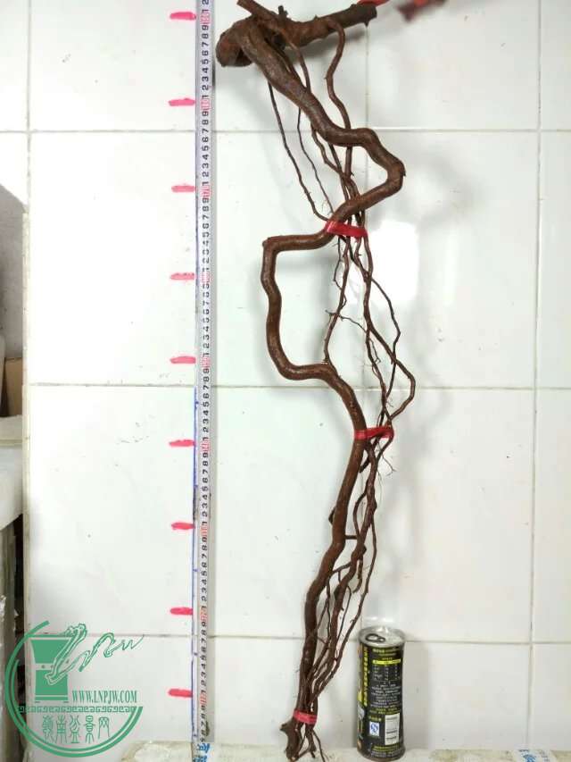 psb (9).jpg