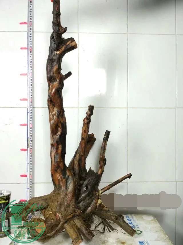 psb (18).jpg