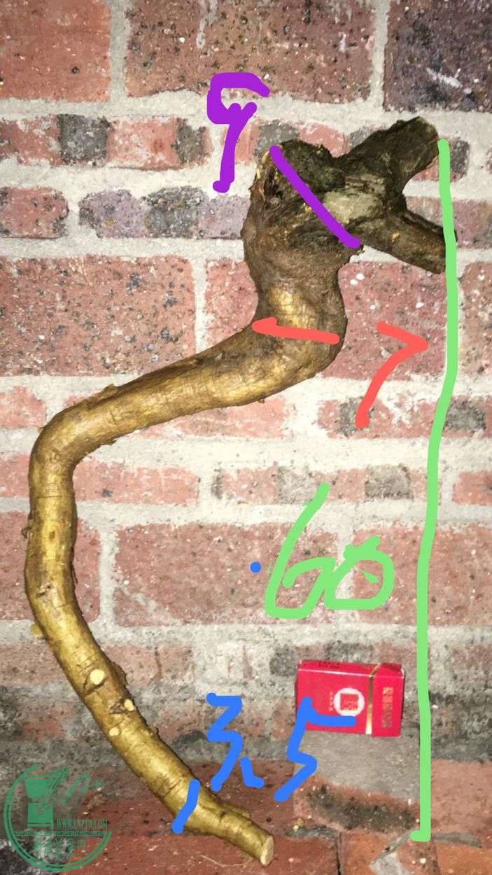 image.jpeg