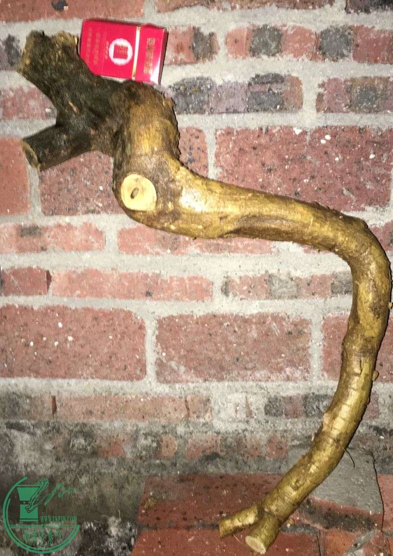image.jpeg