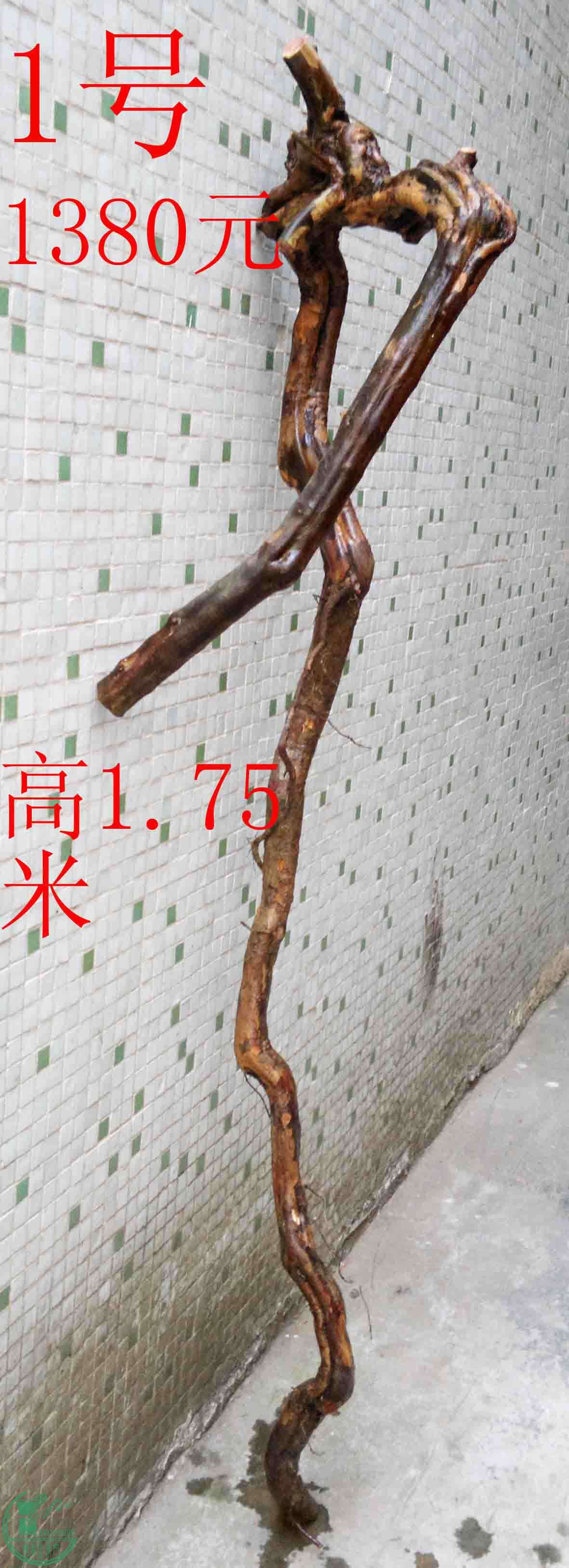 2016032914039.jpg