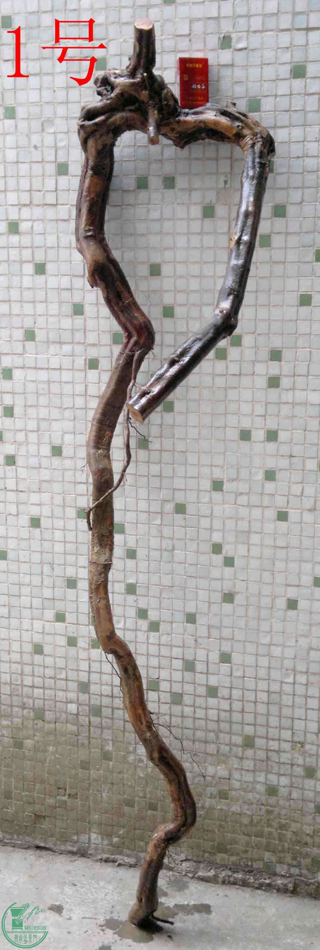 2016032914045.jpg