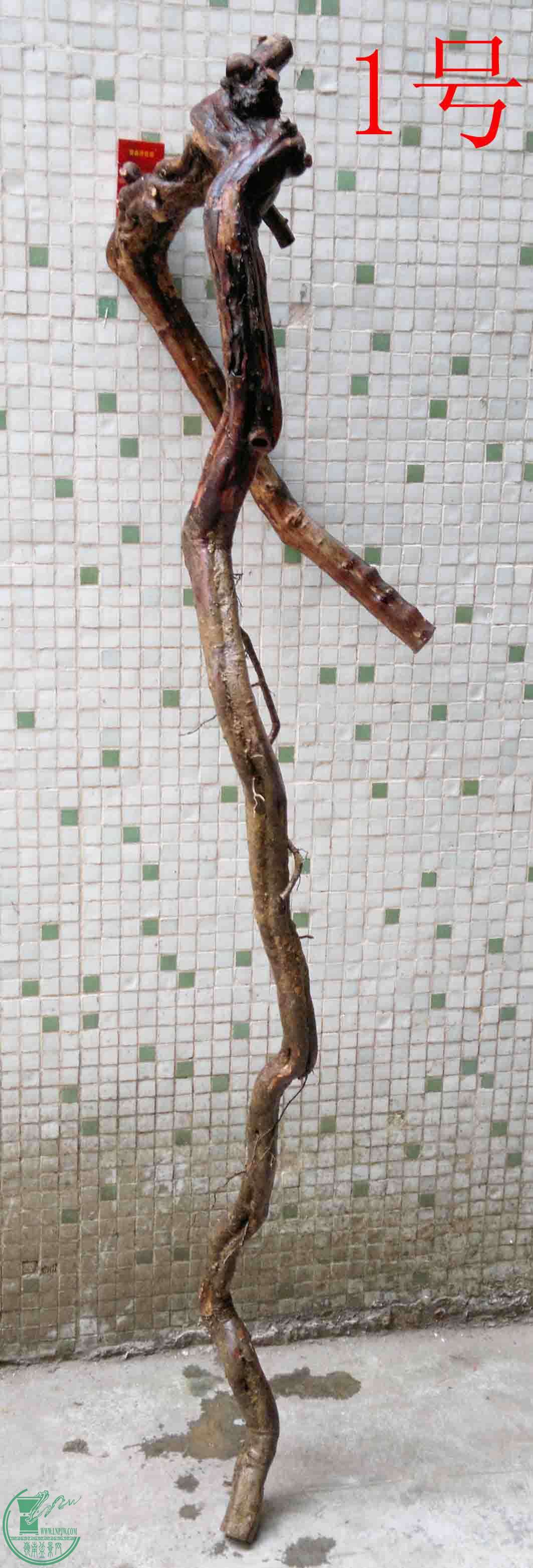 2016032914056.jpg