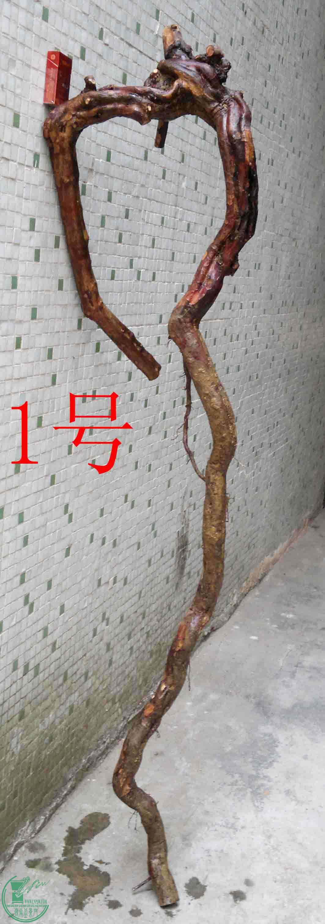 2016032914064.jpg