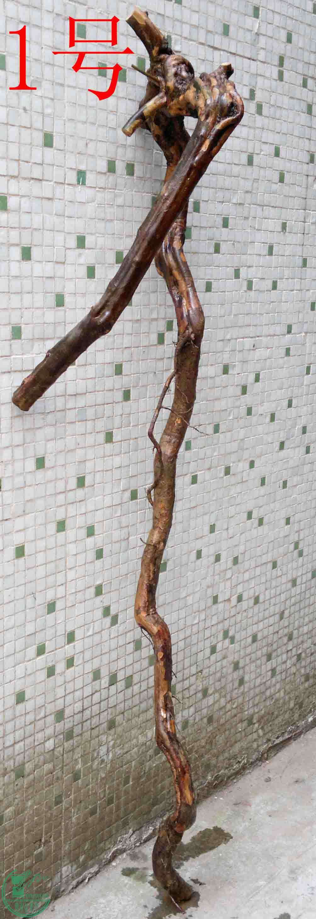 2016032914072.jpg