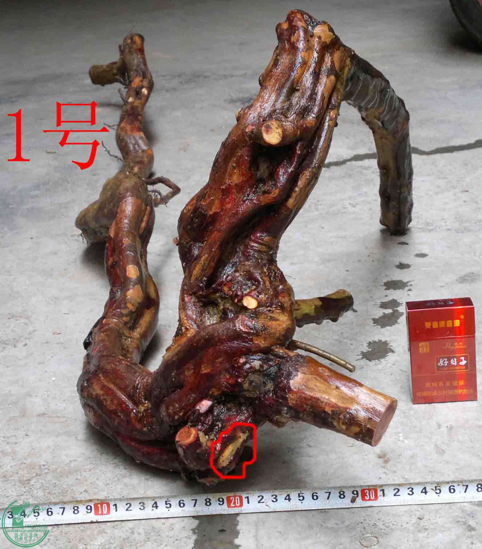 2016032914120.jpg