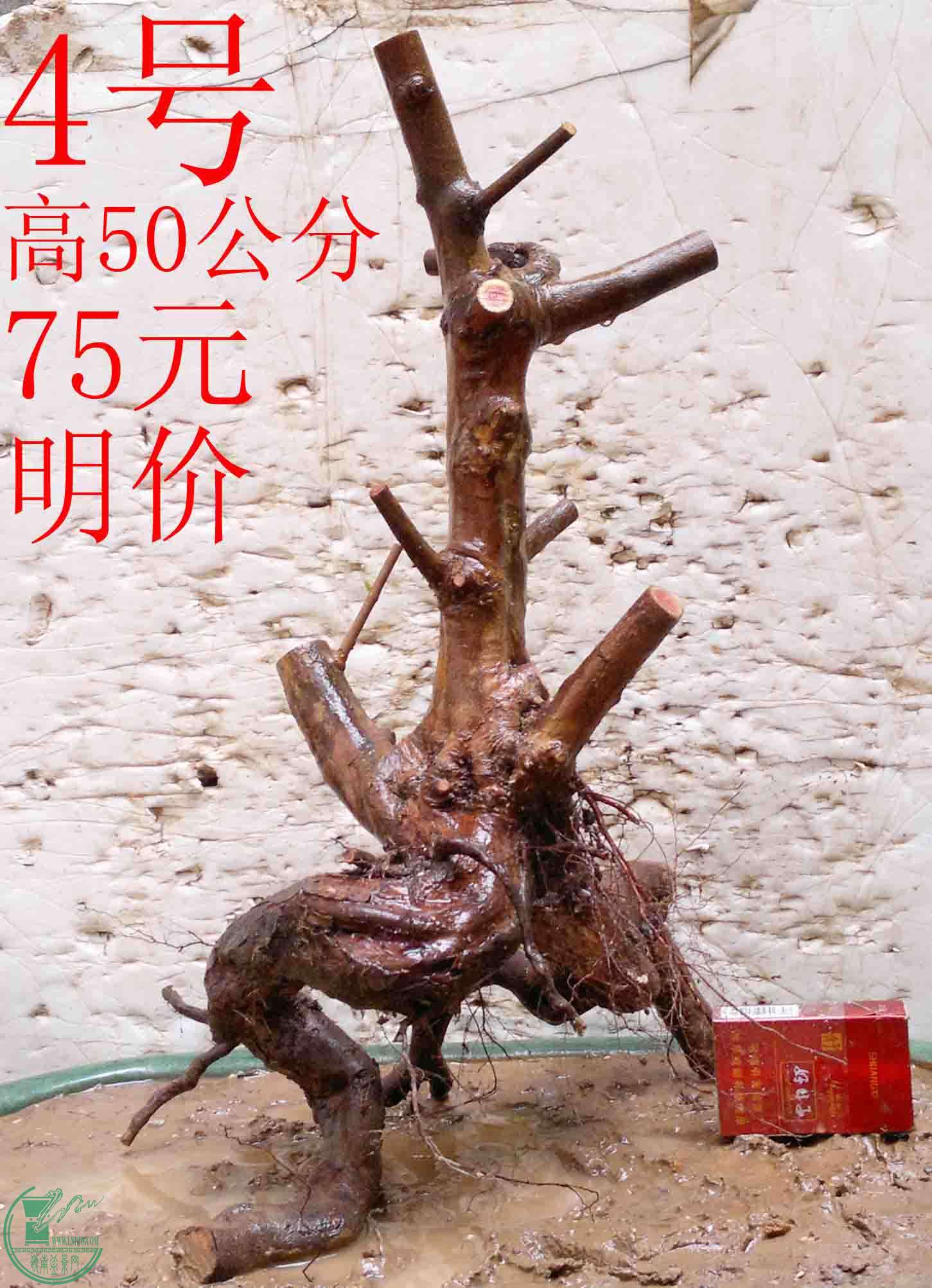 2016032914195.jpg