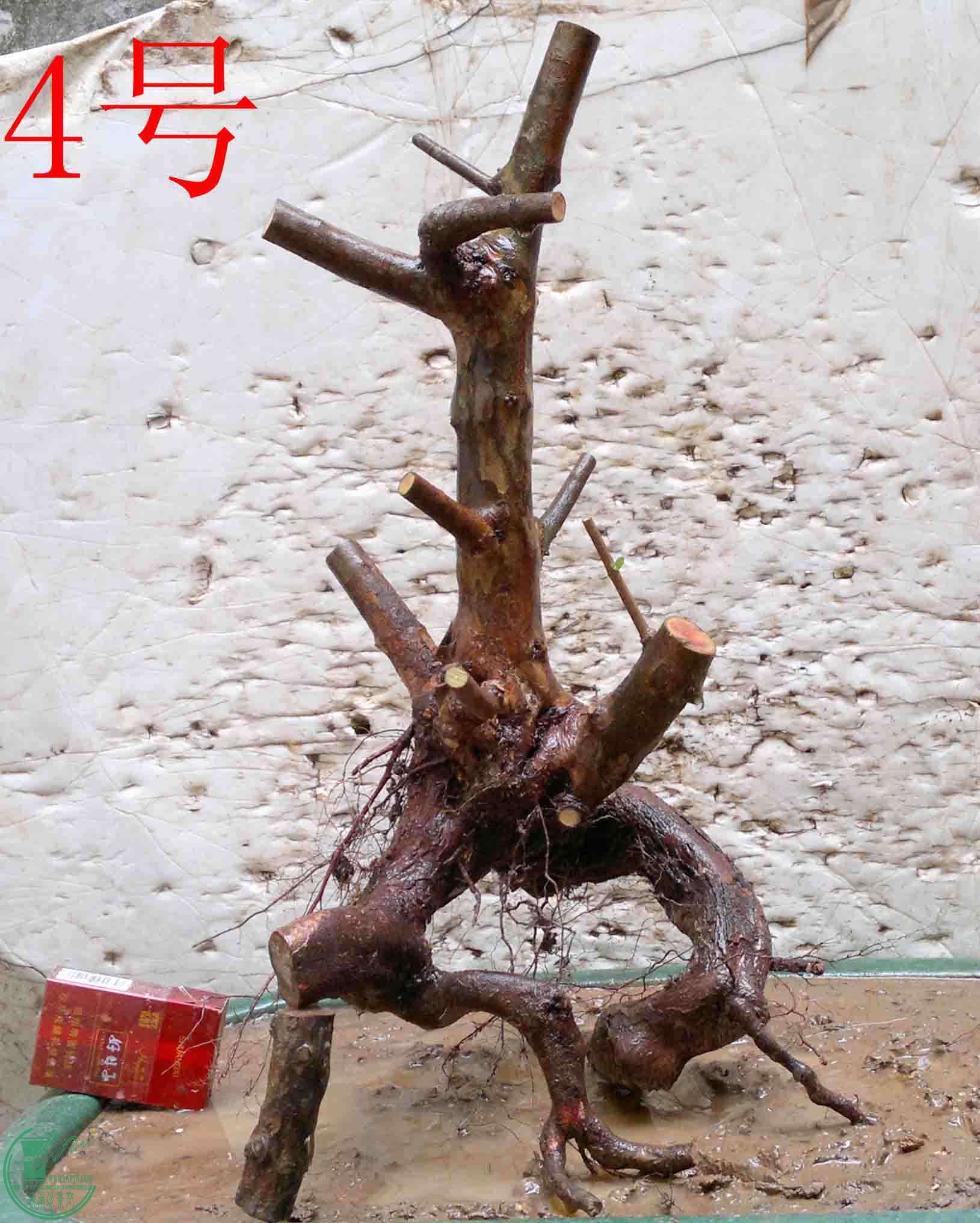 2016032914202.jpg