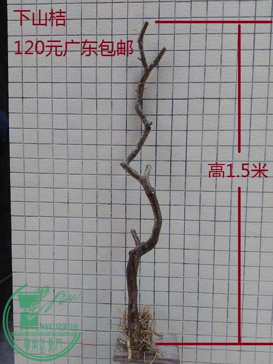 QQͼƬ20160330090424.jpg