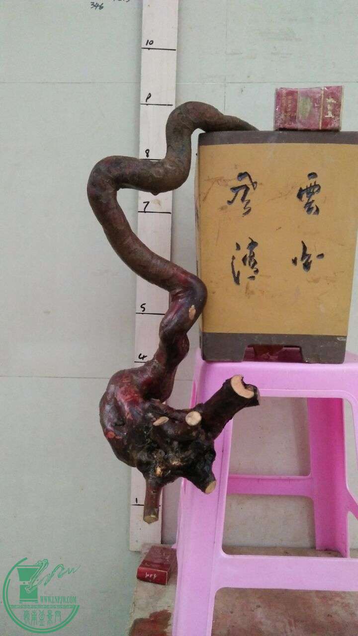 QQͼƬ20160330193338.jpg