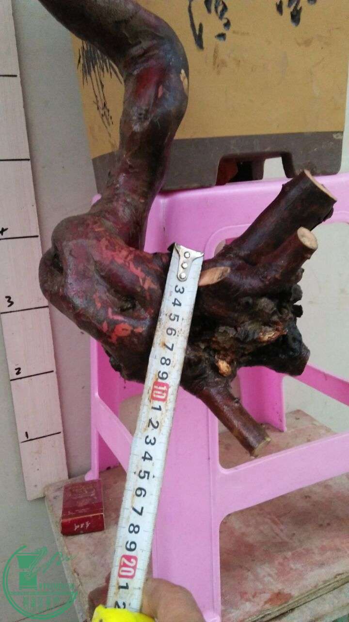 QQͼƬ20160330193343.jpg
