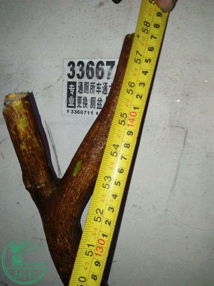 QQͼƬ20160330200035.jpg