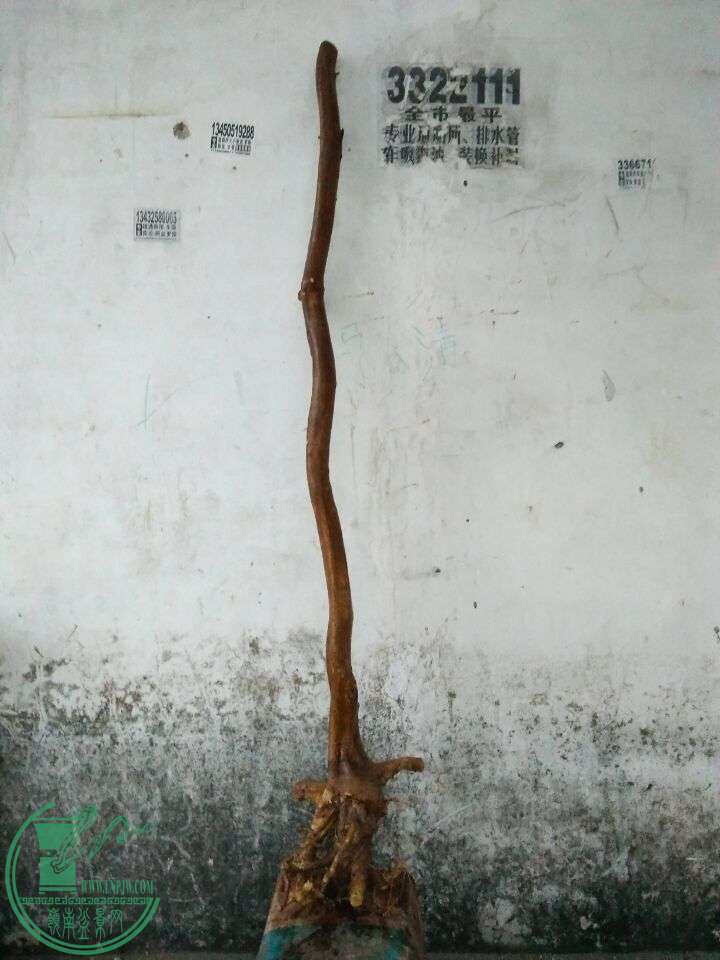 QQͼƬ20160330200136.jpg