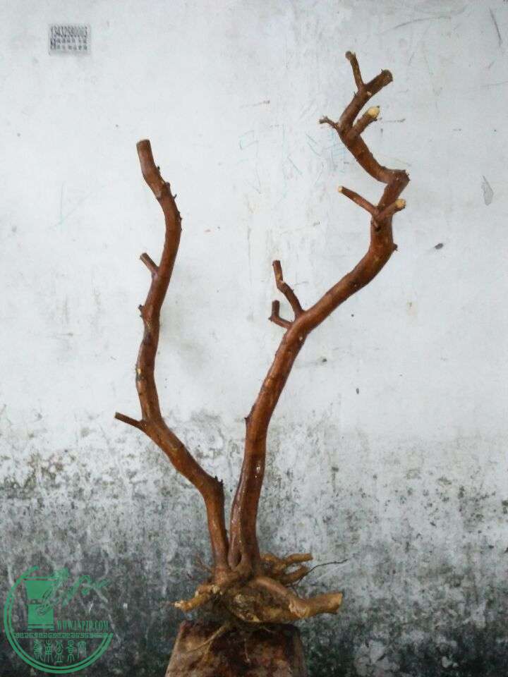 QQͼƬ20160330200108.jpg