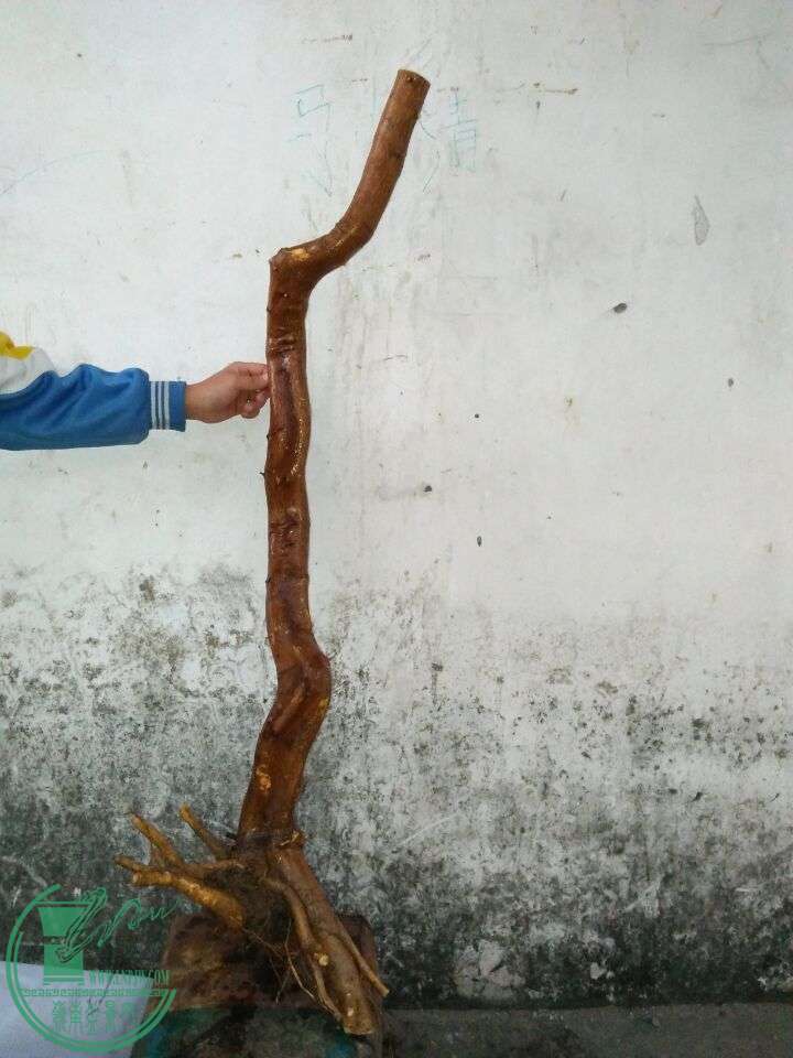 QQͼƬ20160330200150.jpg