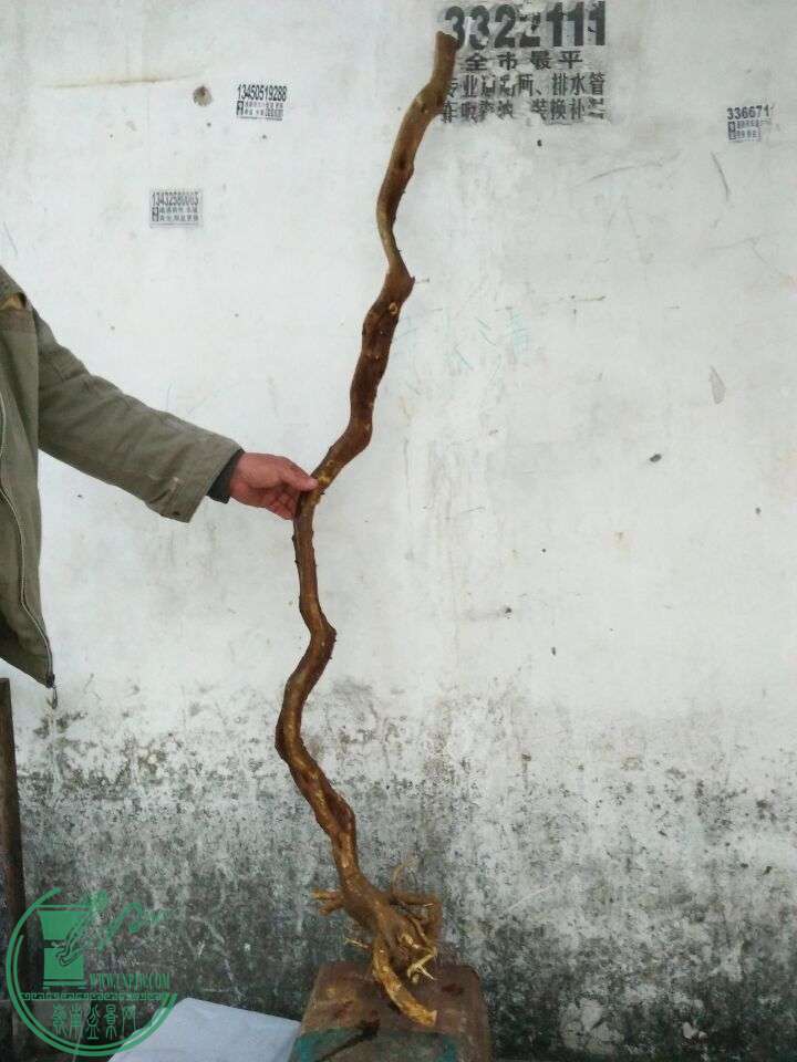 QQͼƬ20160330200227.jpg