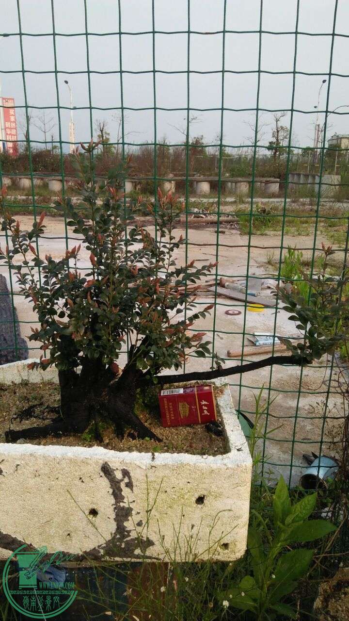QQͼƬ20160330193328.jpg