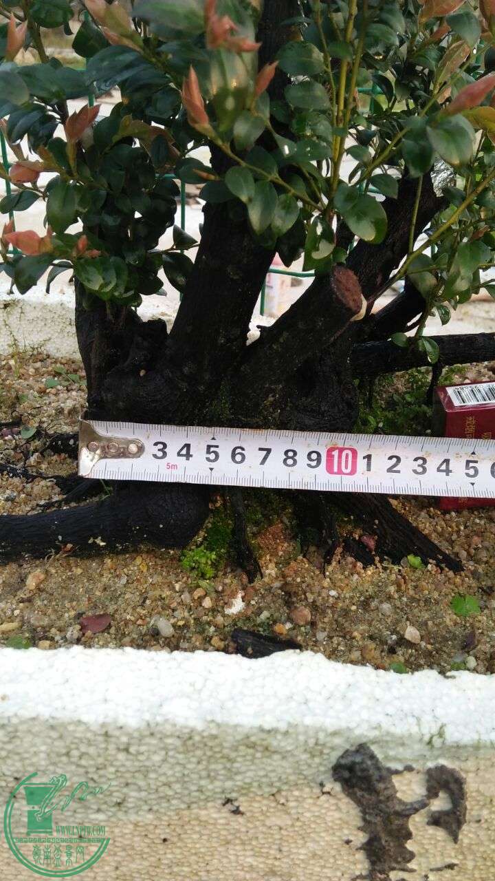 QQͼƬ20160330193355.jpg