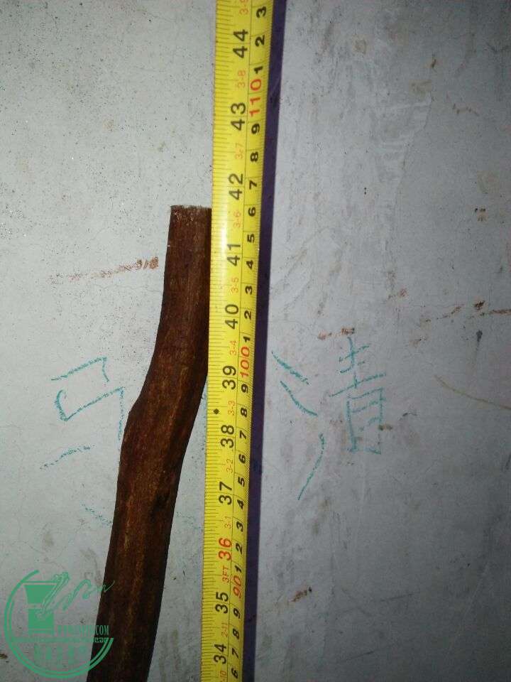 QQͼƬ20160330203523.jpg