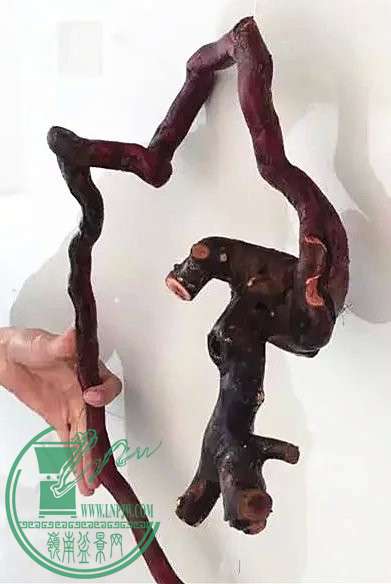 19_.jpg