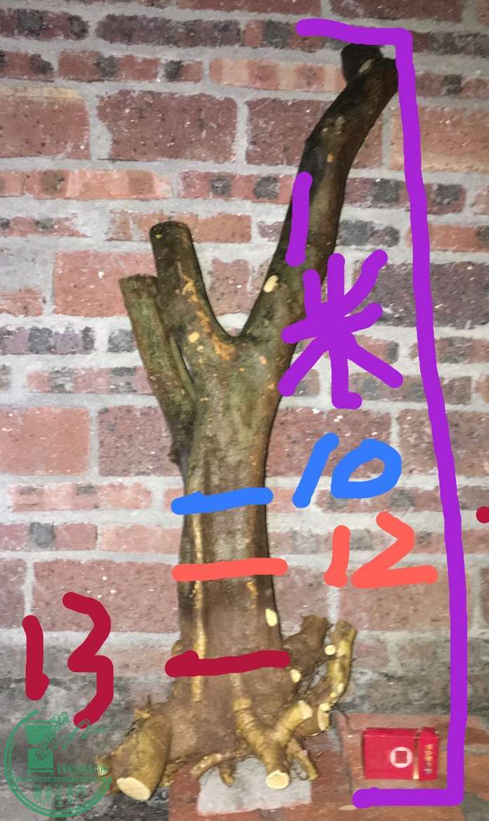 image.jpeg