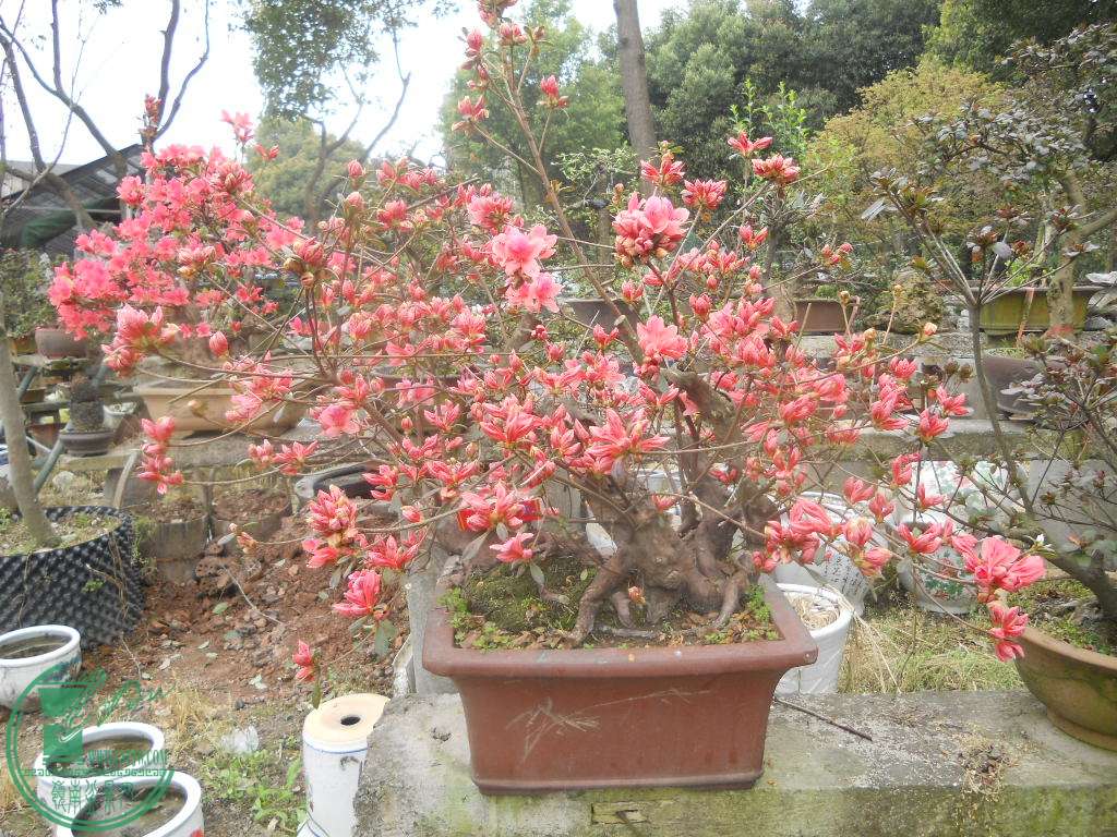 DSCN0708.jpg