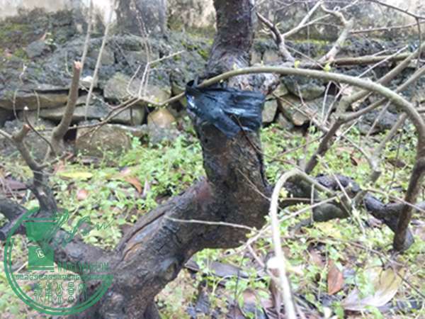 IMG_20160321_104941.jpg