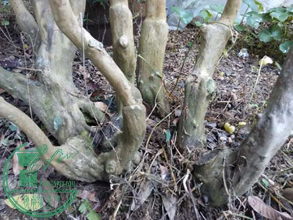 IMG_20160320_123847.jpg