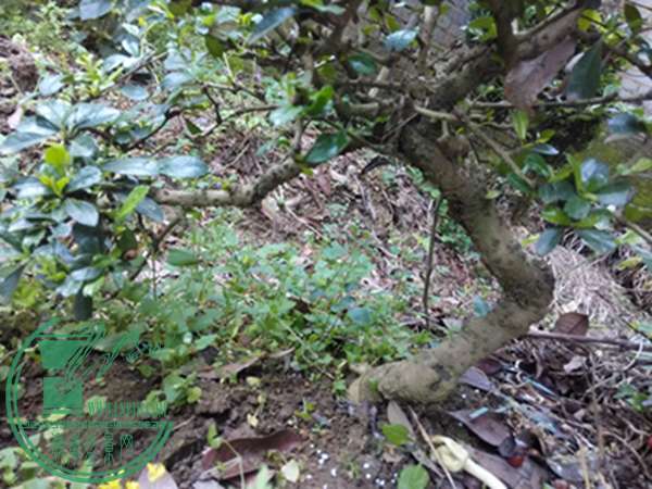 IMG_20160320_123756.jpg
