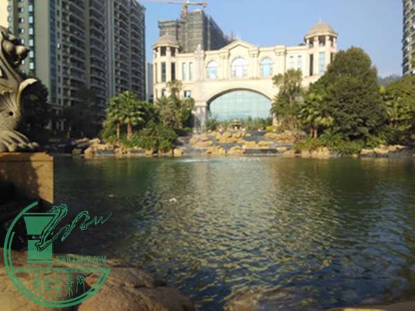 IMG_20141221_085428.jpg