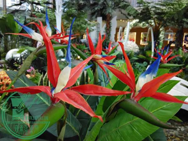 IMG_20160306_144633.jpg