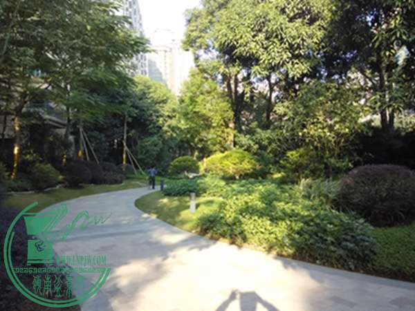 IMG_20141221_085515.jpg