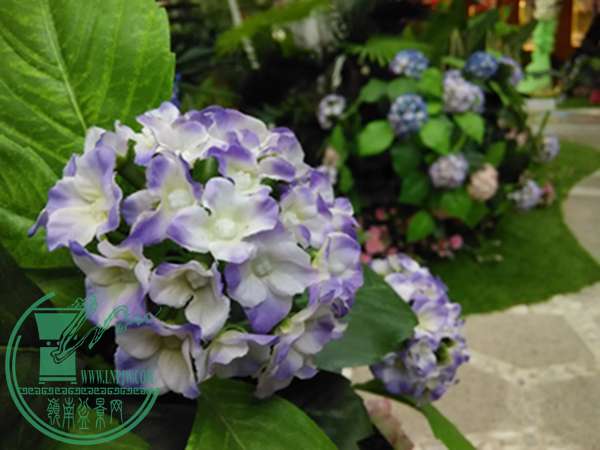 IMG_20160306_144700.jpg