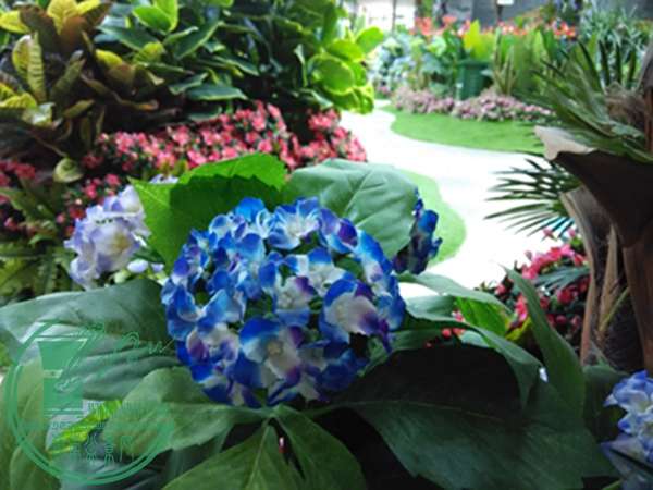 IMG_20160306_144832.jpg