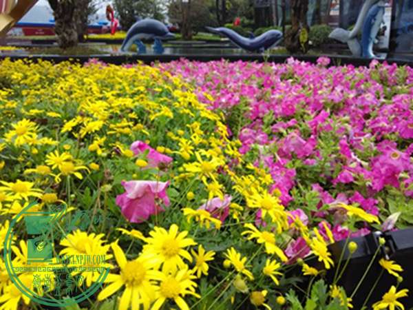 IMG_20150411_110049.jpg