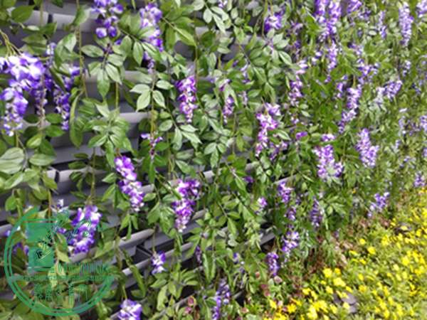 IMG_20150411_110628.jpg
