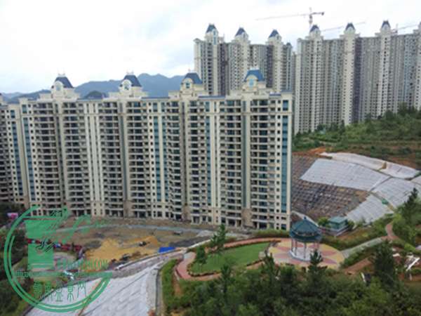 IMG_20151005_161650.jpg