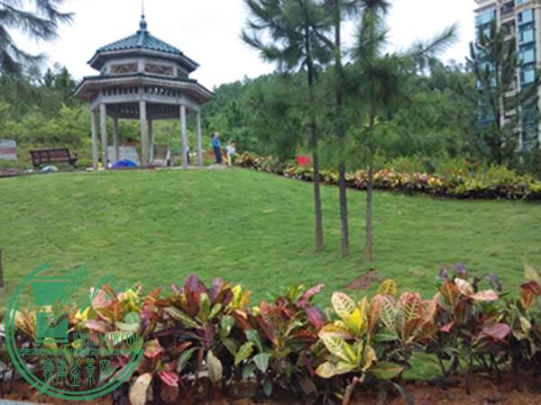 IMG_20151005_163634.jpg
